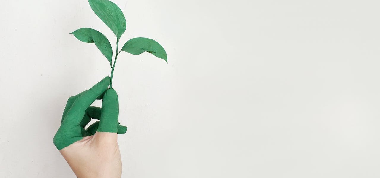 Zielone dachy i elewacje w halach przemysłowych: Korzyści dla środowiska i wydajności energetycznej